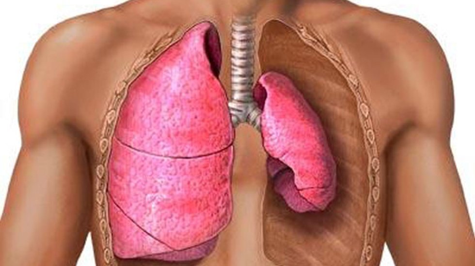Akciğer s&ouml;nmesi gen&ccedil; erişkinleri tehdit ediyor!
