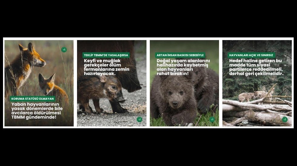 Yaban hayvanlarının yasak yerlerde ve d&ouml;nemlerde bile &ouml;ld&uuml;r&uuml;lebilmesi i&ccedil;in kanun teklifi